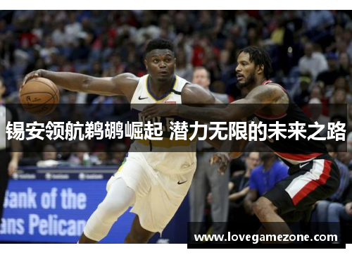 锡安领航鹈鹕崛起 潜力无限的未来之路