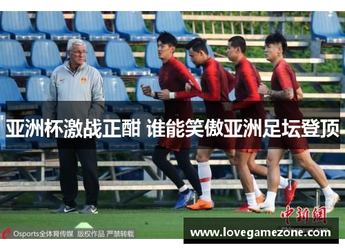 亚洲杯激战正酣 谁能笑傲亚洲足坛登顶